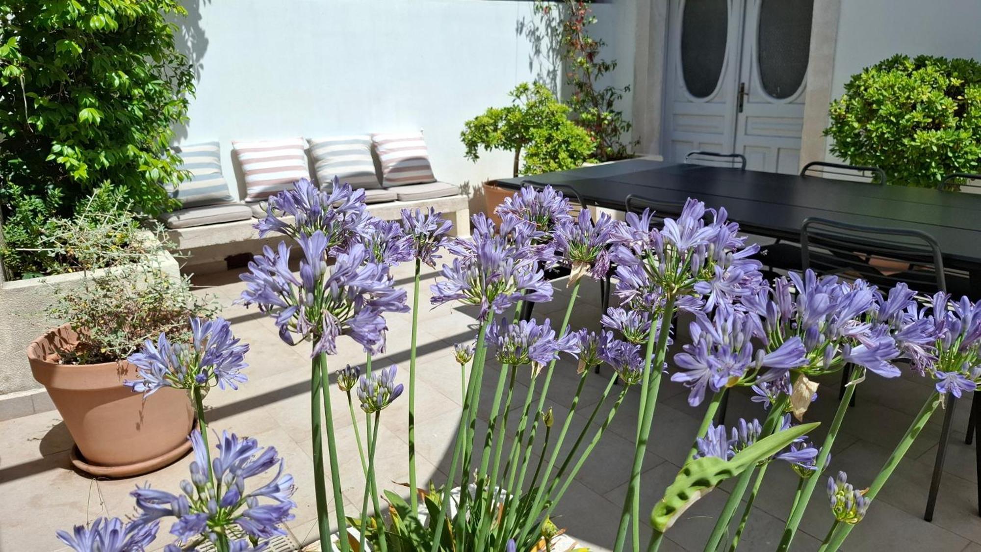 Villa Mira Božava Esterno foto